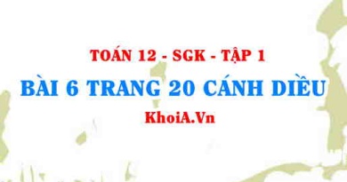 Bài 6 trang 20 Toán 12 tập 1 Cánh Diều